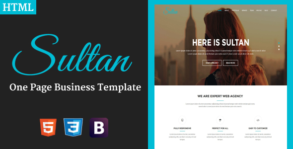 Sultan - One Page Business Template