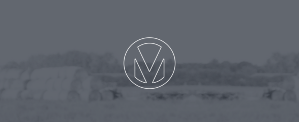 Themeforest