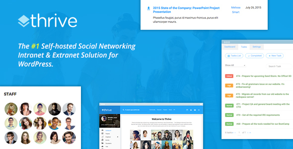 Thrive - Intranet & Community WordPress Theme