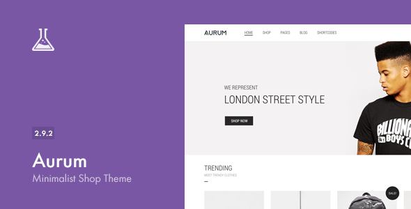 Aurum - Minimalist Shopping Theme