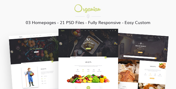 Organian - Multiconcept Organic Store PSD Template