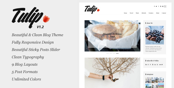 Tulip - Responsive WordPress Blog Theme