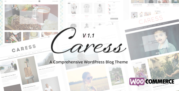 Caress - A Comprehensive WordPress Blog Theme