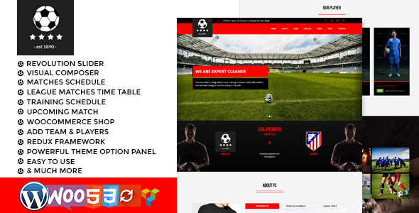Pro Soccer  Football Club WordPress Theme