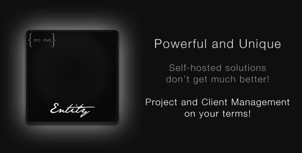 Entity Project Management Web Application