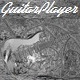 guitarplayer