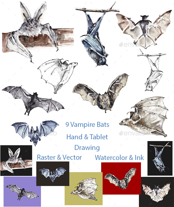 Vampire bats (Watercolor and Ink, Vector and Raster)