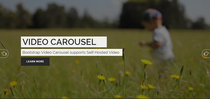 video carousel