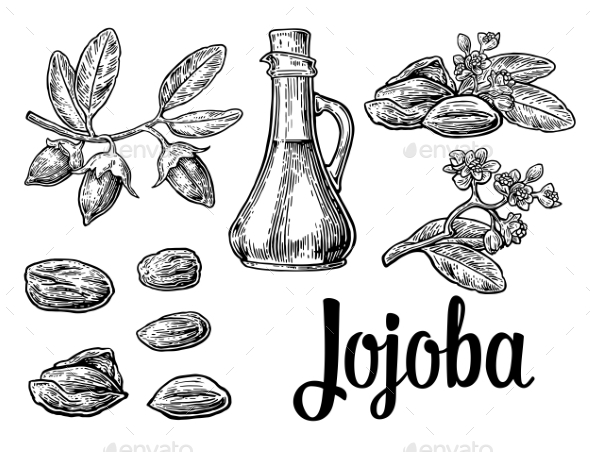 Jojoba Fruit with Glass Jar