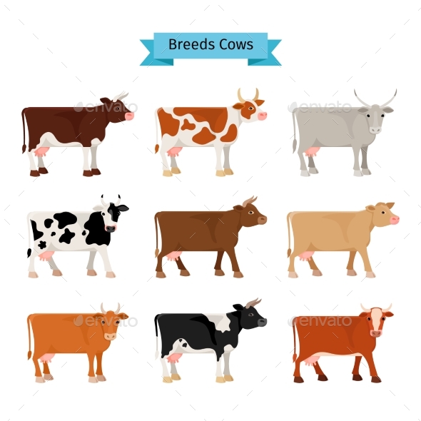 Cow Flat Icons