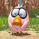 dutchbird