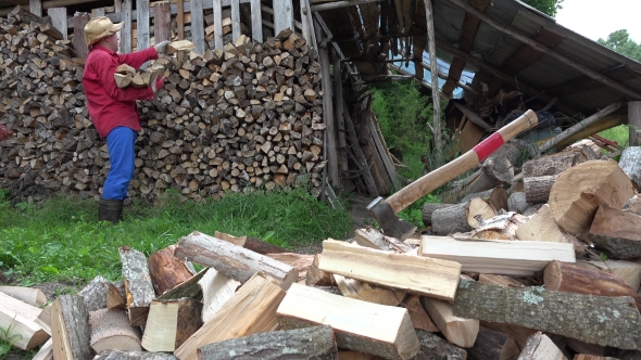 VideoHive Garden Worker Man Guy Stack Chopped Firewood Near Woodshed 17012663 VideoHive Garden Worker Man Guy Stack Chopped Firewood Near Woodshed 17012663