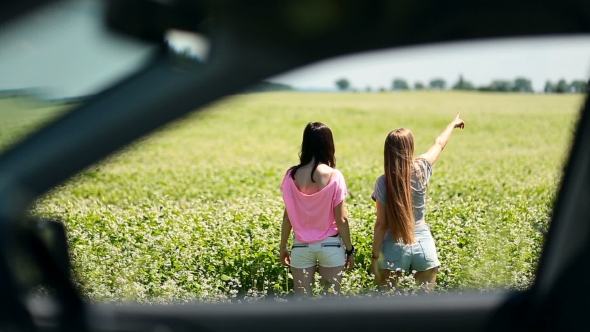 VideoHive View Through The Side Window Of Females In Field 17018205 VideoHive View Through The Side Window Of Females In Field 17018205