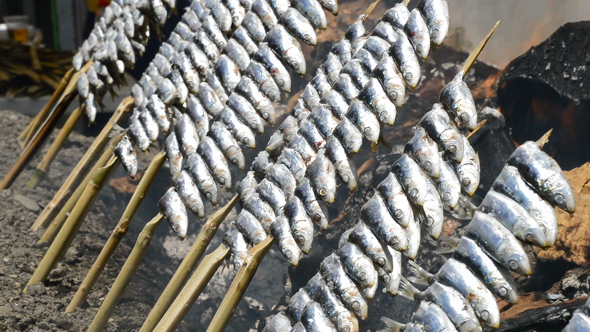 VideoHive Sardines Fish Skewer Food Grilled 17036146 VideoHive Sardines Fish Skewer Food Grilled 17036146