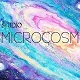 Studio-MICROCOSM