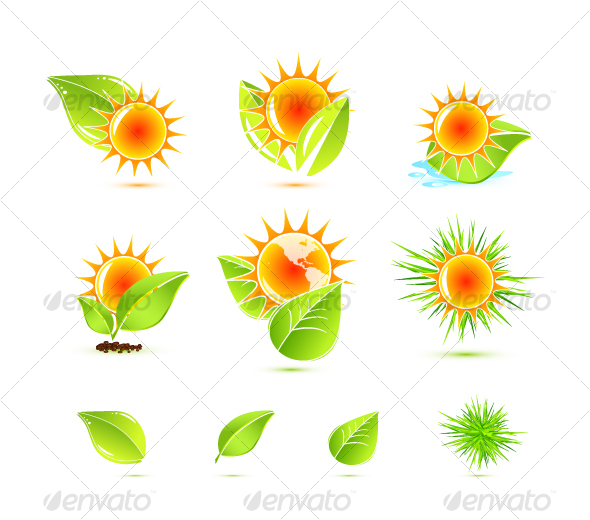 Sun and leaves - Nature Conceptual