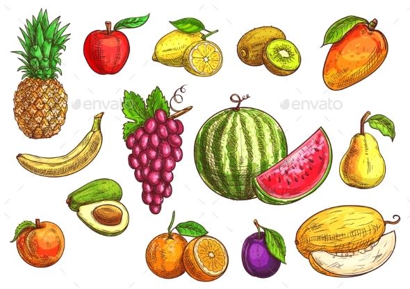 Hand Drawn Sketch Of Tropical And Exotic Fruits.