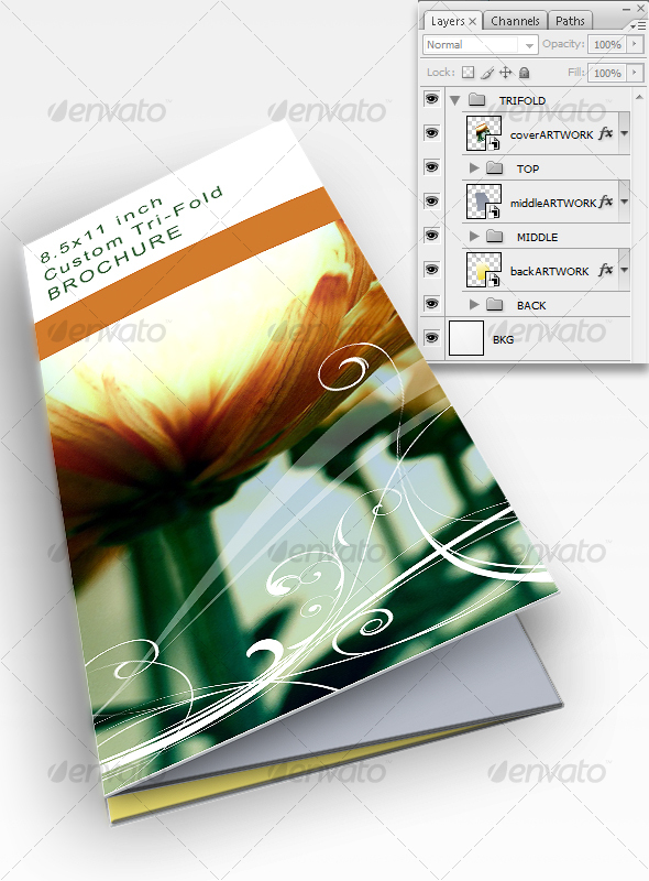 Trifold Template Trifold Template