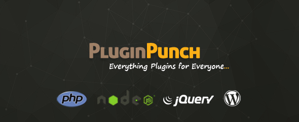 Plugin-punch-author-cover