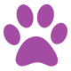 CAT-audio
