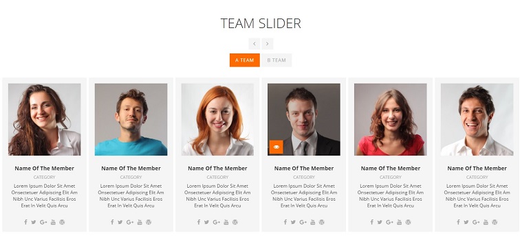 team_slider