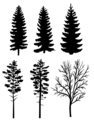 Photo of graphic pine trees | Free christmas images