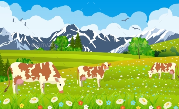 Three Cows In a Landscape And Farm.