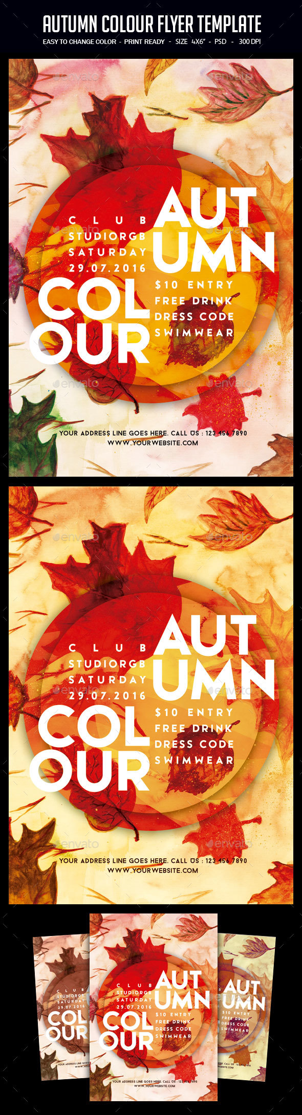 Graphicriver Autumn Colour Flyer Template 17774176
