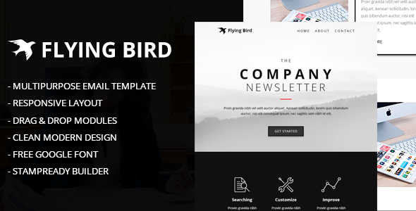 Themeforest Flying Bird Multipurpose Email Template 17510159