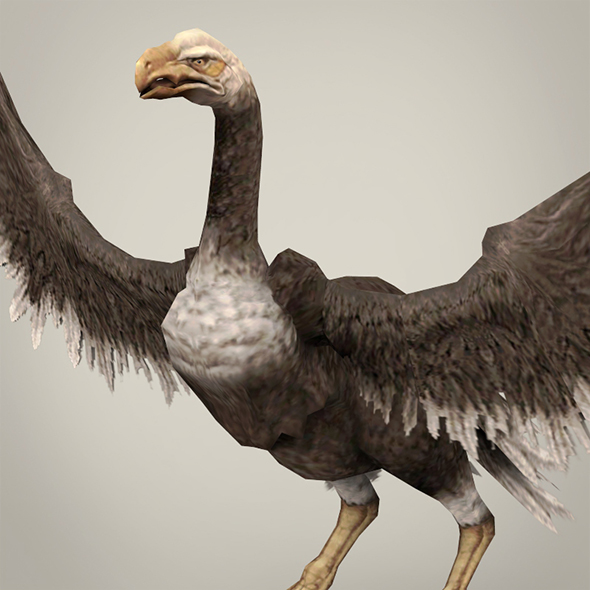 Game Ready Fantasy Vulture - 3DOcean Item for Sale