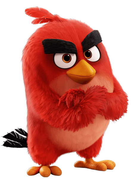 angry bird