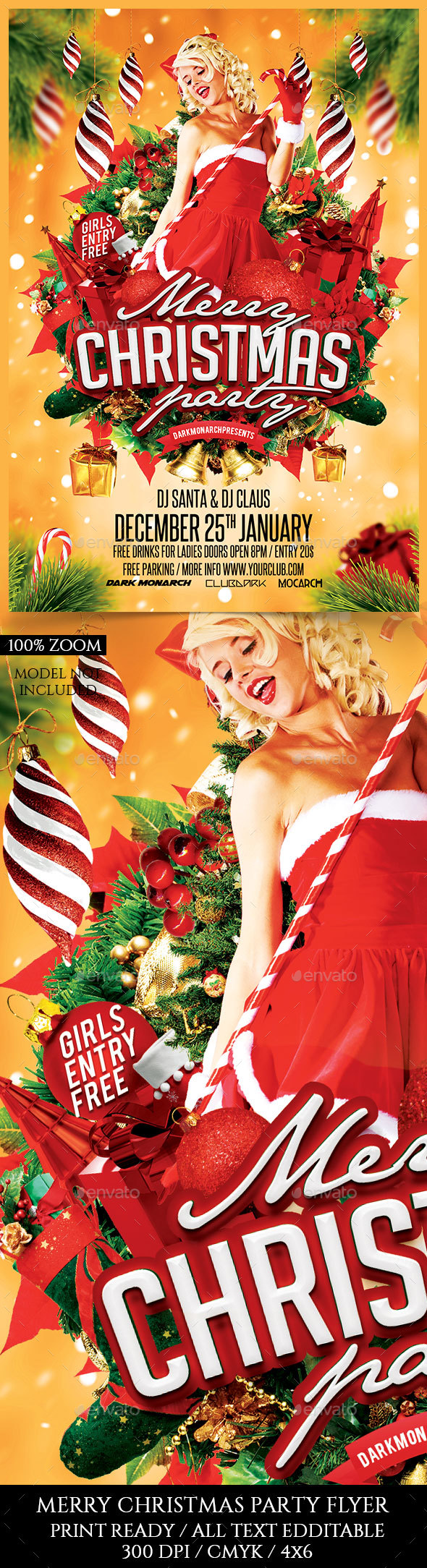 Christmas Party Flyer