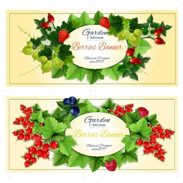 Healthy Fruits And Berries Banners Set