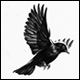 BlackbirdV