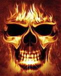 Daveonearth