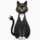 catsplugins