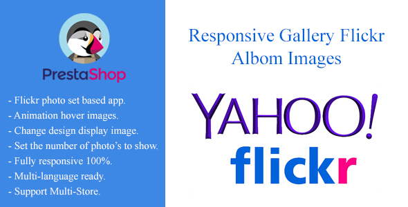 Responsive Gallery Flickr Albom Images