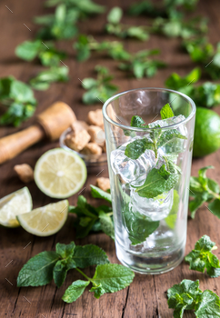 Photodune Glass of mojito with ingredients 18753191