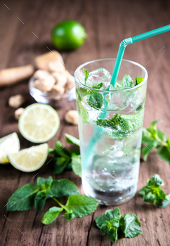 Photodune Glass of mojito with ingredients 18753192