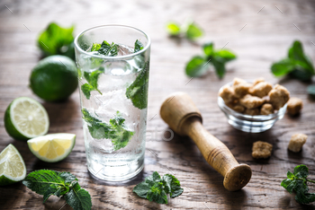 Photodune Glass of mojito with ingredients 18753194