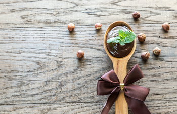 Photodune Wooden spoon of chocolate cream with fresh mint 18753228