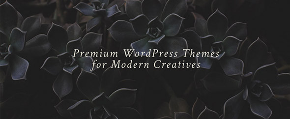 Sparrowandsnow banner envato