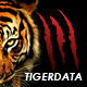 TigerData