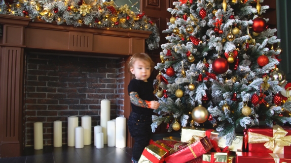 Little Boy Touches Toy On Christmas Tree.