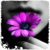 wqdesigns