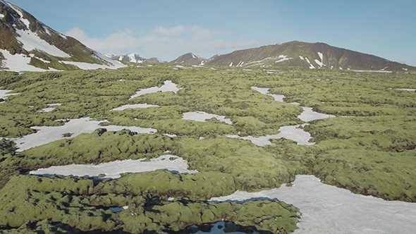 Videohive Moss Covered Rock Formations 19090259