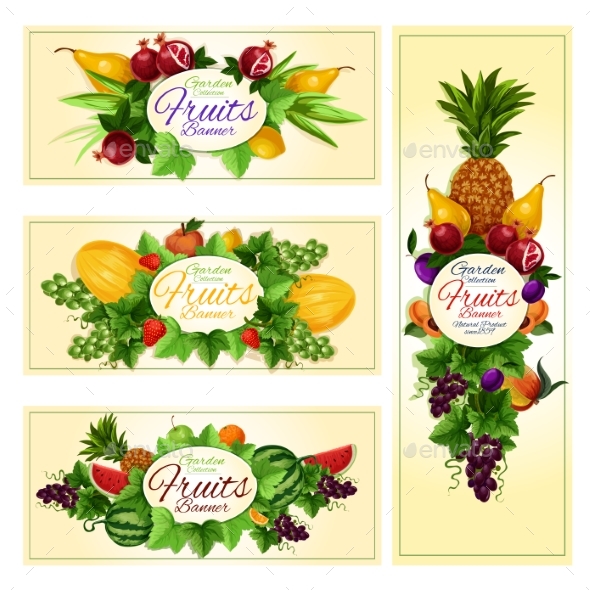 Fruit and Berry Banner for Diet Food, Drink Design