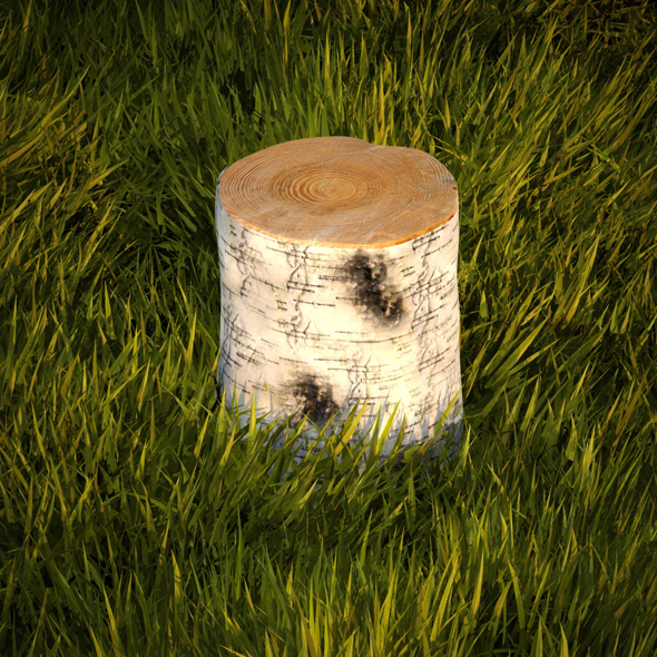 3d model birch stump 3d model birch stump