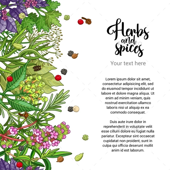Graphicriver Vector Herbal Card Design with Spices and Herbs 19291765 torrent Graphicriver Vector Herbal Card Design with Spices and Herbs 19291765 torrent