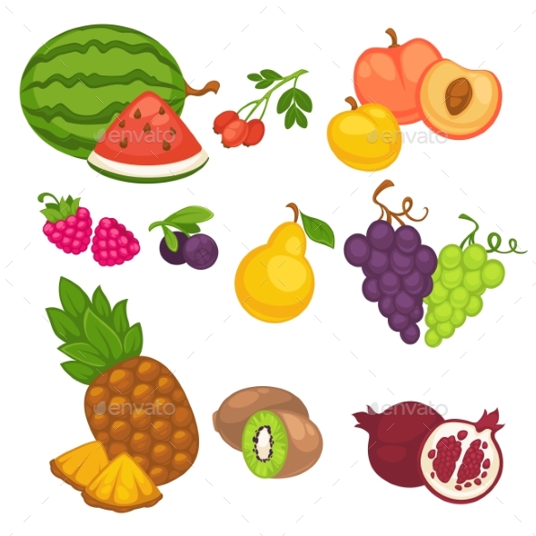 Vector Fruit Set of Different Fruits.